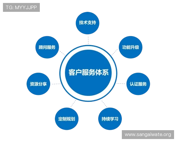 王子娱乐平台：客户服务与技术支持体系全方位解读