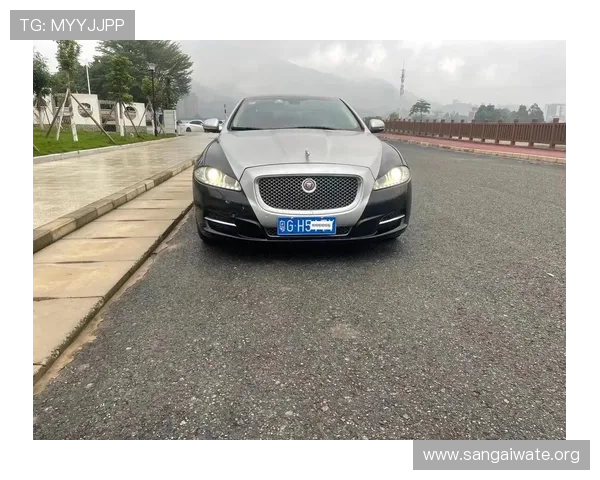 捷豹在线娱乐平台最新优惠活动详解,助你轻松赢取丰富奖励和福利